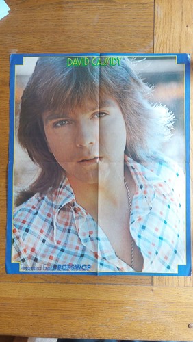 Vintage david cassidy - david,