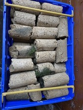 1 kg genuine momotaro  bakki house media - for bakki shower