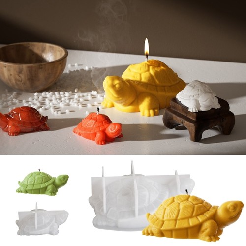 Cute turtles display - cute,