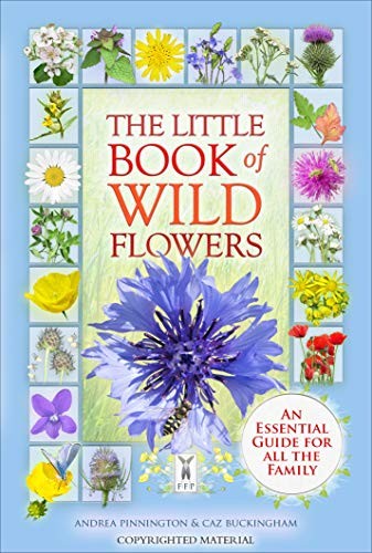 The little book wild - book, of