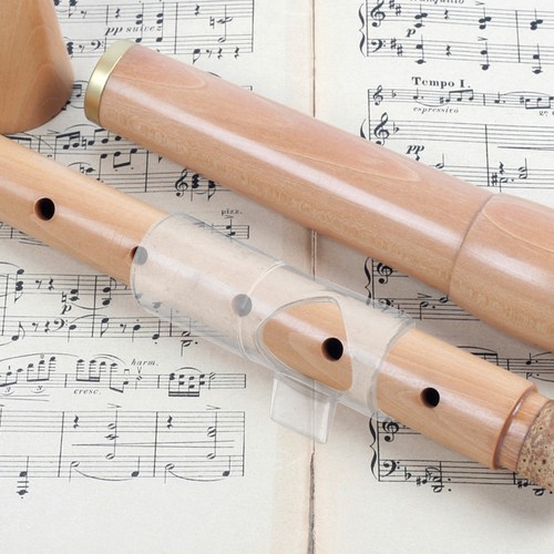 Flute supply plastic - supply,