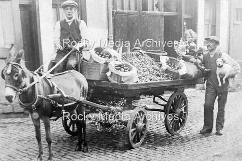 Jfd donkey cart - jfd-59, &