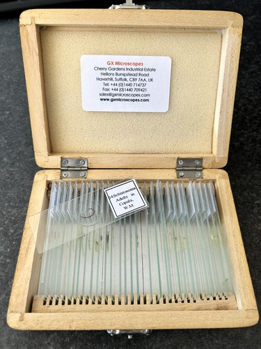 Set gx microscopes - set, of
