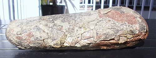 Dinosaur egg prepped - egg,