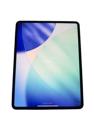 Ipad pro 256gb wifi - 256gb,