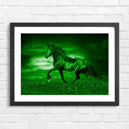 Running black horse sunset - black,