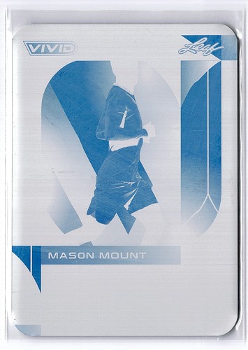 2022 leaf vivid mason - 2022, mount