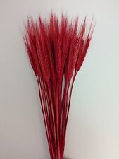 30 STEMS DRIED WHEAT/RYE BUNCH