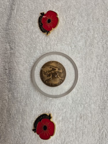 Lest forget poppy badges - we,