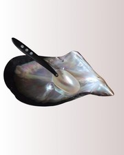 Vintage Mother-of-Pearl Shell