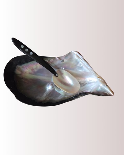 Vintage mother pearl shell - vintage, mother-of-pearl