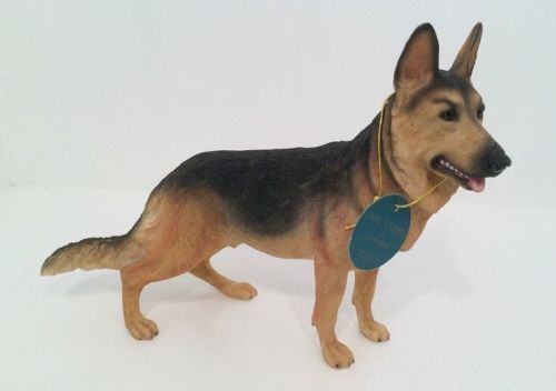Leonardo white alsatian - leonardo,