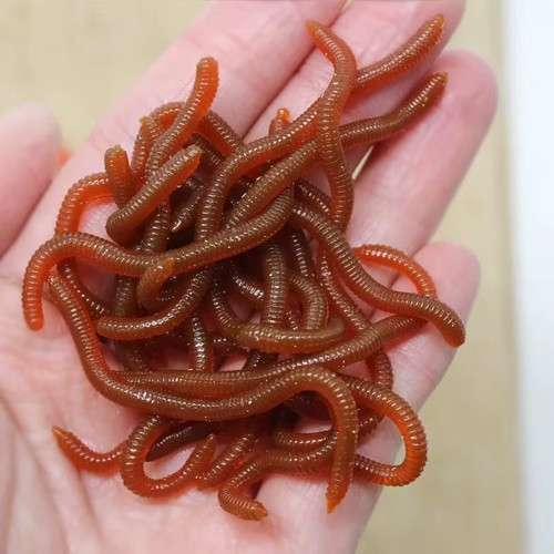 Lifelike fish smell red soft - fish,