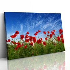 Red Poppies in Field Canvas