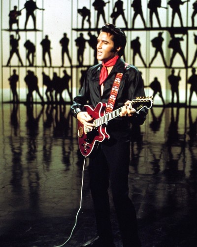Elvis photograph no - x, 8"