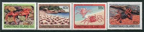 Christmas 1984 red - 1984,