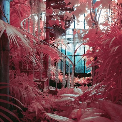 Sony apsc infrared - sony, irchrome