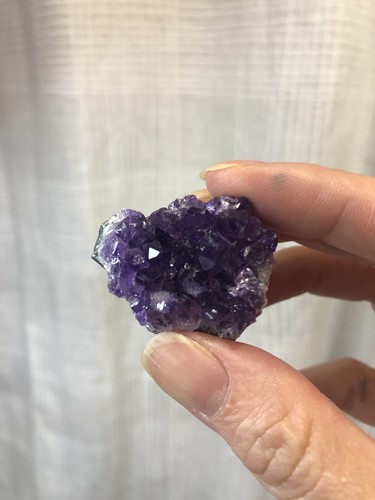 Amethyst small cluster - x,
