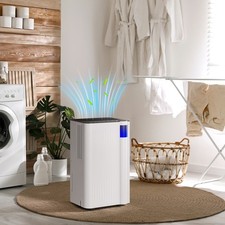 12L/Day Air Dehumidifier for