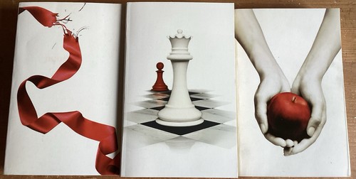 Twilight saga book bundle - twilight,