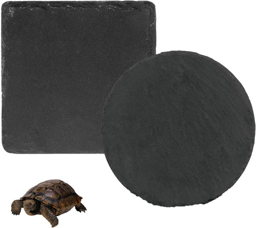 Pcs tortoise accessories - tortoise,