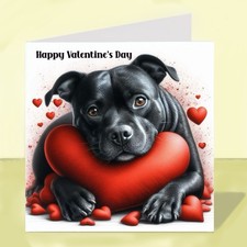 Staffordshire Bull Terrier Dog