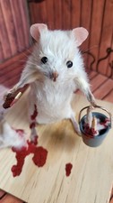Taxidermy Mouse unique, cute