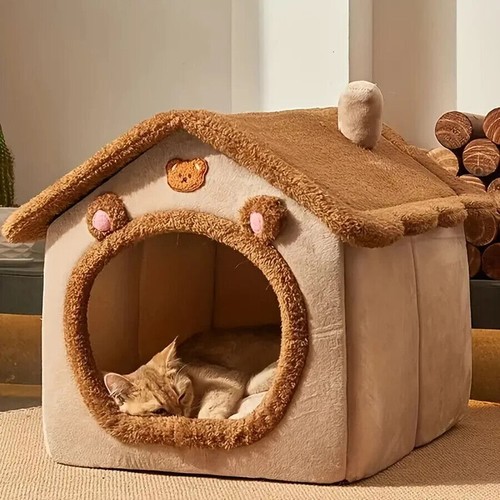 Pet cat kitten - kitten, igloo