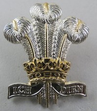Military Anodised Badge Royal Regiment of Wales / Cardiff University O.T.C
