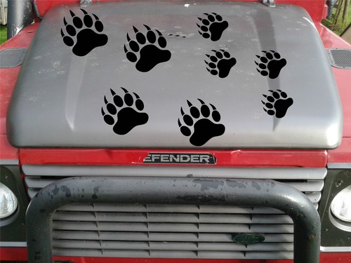 Grizzly bear paw print - x,