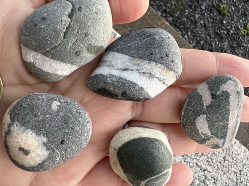 Lovely bundle rare irish - of,