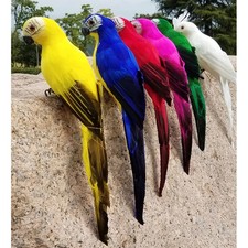 Simulation Parrot Bird Model