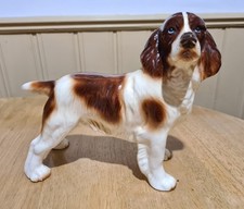 Vintage Springer Spaniel Dog