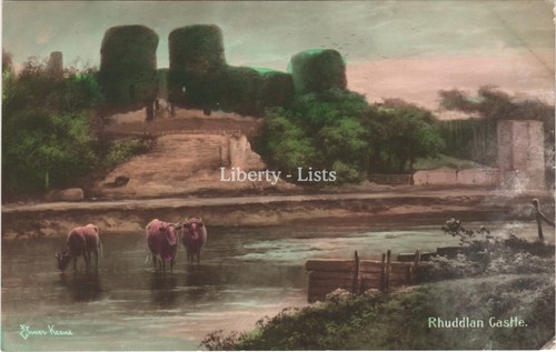 Rhuddlan castle cattle - rhuddlan,