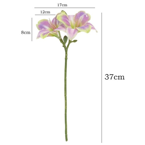 Two headed artificial - artificial, clivia