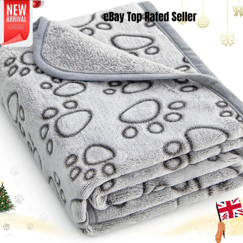 Soft fluffy high quality pet - soft,