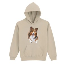 Sheltie Dog Shetland Sheepdog