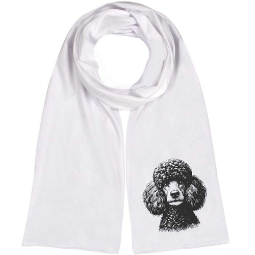 French poodle portrait - 'french, portrait'