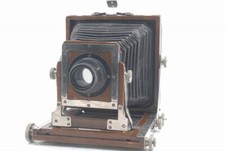 Rare Wood About 3x4inch Field