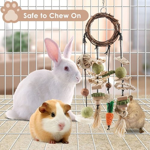 Rabbit treats rabbits cage - rabbit,