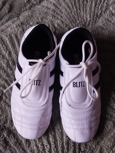Blitz adult martial arts - blitz,