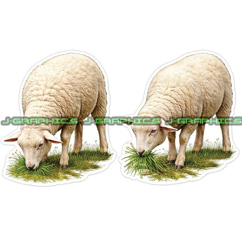 Sheep animal vinyl decal - sheep,