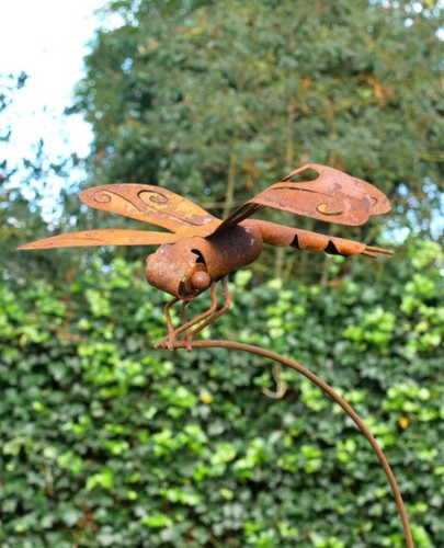 Rusty dragonfly stake garden - rusty,