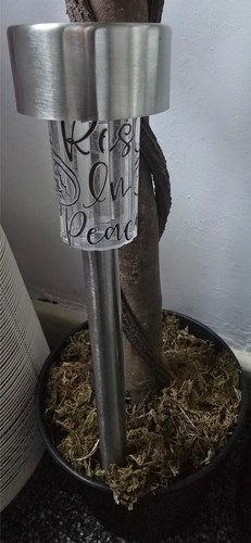 Rest peace rose - in, 23cm