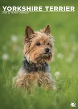 Yorkshire Terrier Calendar 2026 – A Year of Adorable Elegance