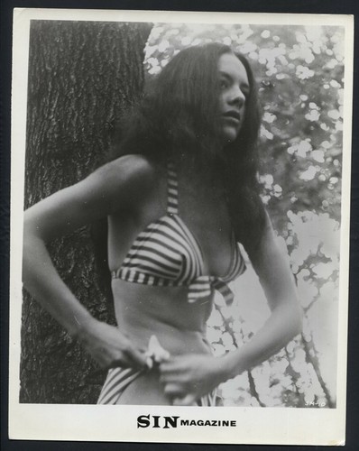 Sin magazine pinup - magazine,