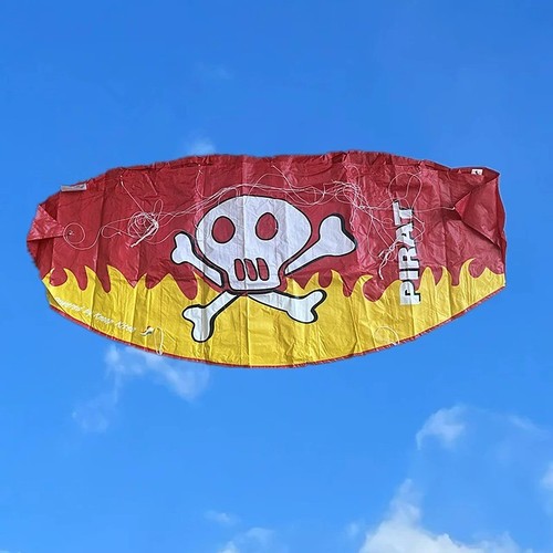 Dual line parafoil kite - parafoil,