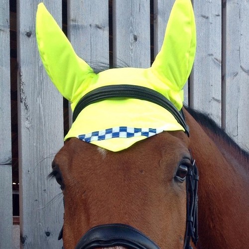 Equisafety polite mesh pony - equisafety,