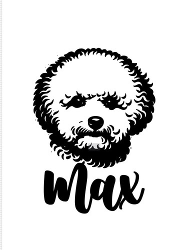 Bichon frise dog custom - frise,