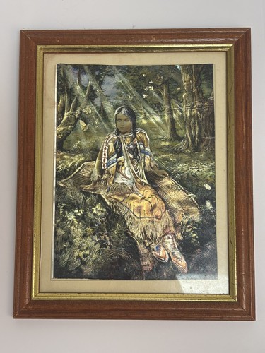 Native american girl shiny - american,